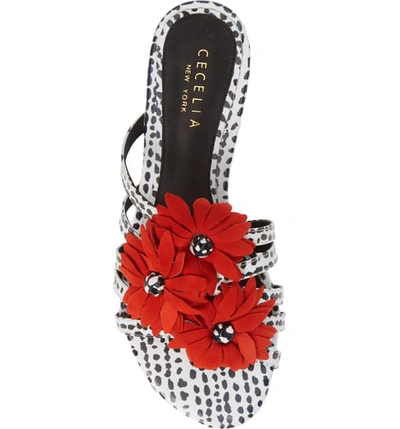 Shop Cecelia New York Flower Slide Sandal In Canna Red/ Black White Leather