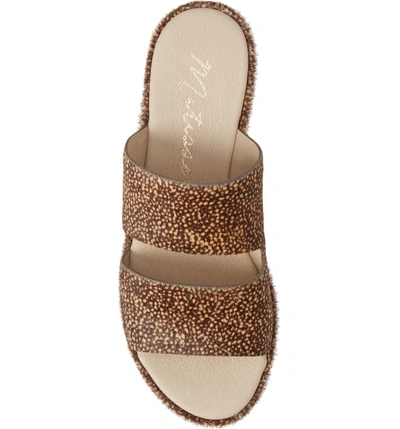 Shop Matisse Struttin' Platform Wedge Genuine Calf Hair Slide Sandal In Natural Spot Calf Hair