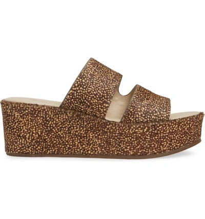 Shop Matisse Struttin' Platform Wedge Genuine Calf Hair Slide Sandal In Natural Spot Calf Hair