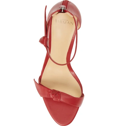 Shop Alexandre Birman Clarita Tie Strap Sandal In Flame Red