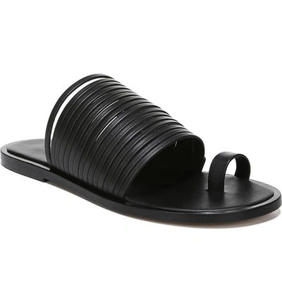 Shop Vince Penrose Toe Loop Sandal In Black