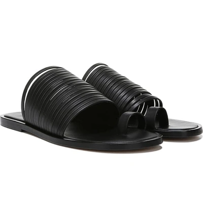 Shop Vince Penrose Toe Loop Sandal In Black