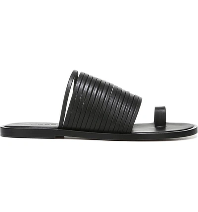 Shop Vince Penrose Toe Loop Sandal In Black