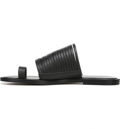 Shop Vince Penrose Toe Loop Sandal In Black