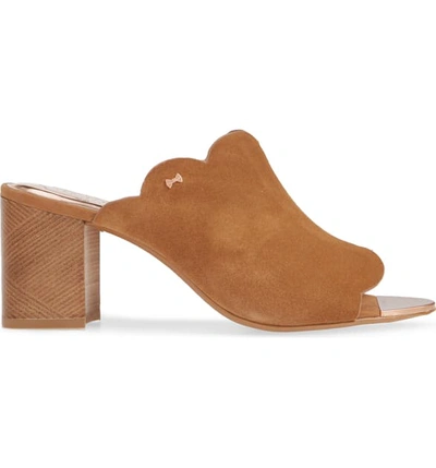 Shop Ted Baker Zinia Scalloped Slide Sandal In Caramel Suede
