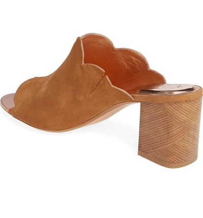Shop Ted Baker Zinia Scalloped Slide Sandal In Caramel Suede