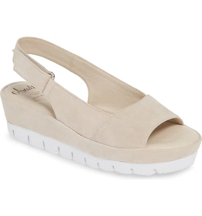 Shop Amalfi By Rangoni Barolo Slingback Wedge Sandal In Arctic Suede