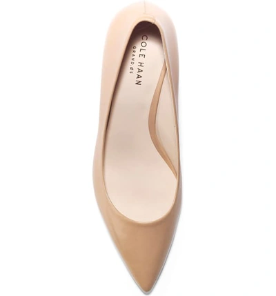 Shop Cole Haan Vesta Pointy Toe Pump In Nude Leather
