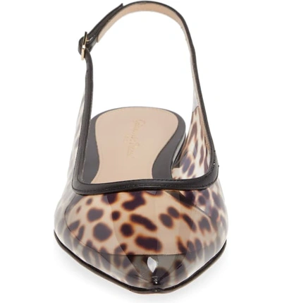 Shop Gianvito Rossi Pvc Slingback Flat In Leopard