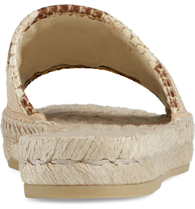 Shop Gucci Pilar Espadrille Slide Sandal In Natural Beige