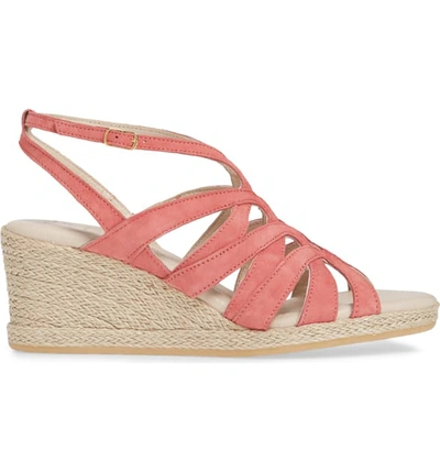 Shop Amalfi By Rangoni Luca Espadrille Wedge Sandal In Coral Suede