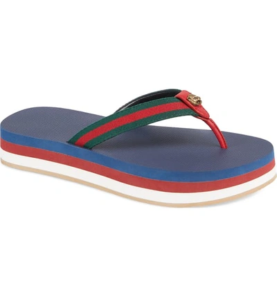 Shop Gucci New Bedlam Flip Flop In Blue/ Red