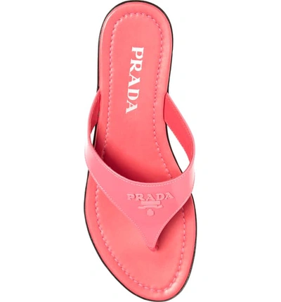 Shop Prada Logo Flip Flop In Fuchsia Patent