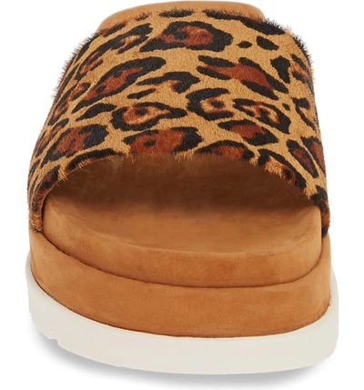 Shop Jslides Bibi Platform Sandal In Tan Leopard Calf Hair