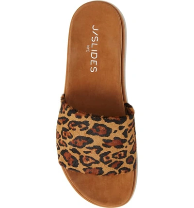 Shop Jslides Bibi Platform Sandal In Tan Leopard Calf Hair