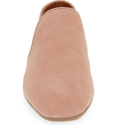 Shop Aquatalia Revvy Weatherproof Loafer In Rose Suede