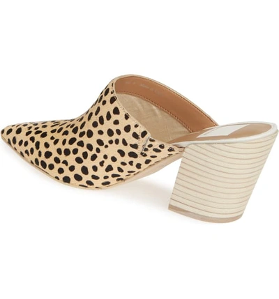 Shop Dolce Vita Angela Pointy Toe Genuine Calf Hair Mule In Leopard Print Calf Hair