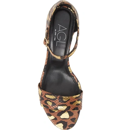 Shop Agl Attilio Giusti Leombruni Snake Embossed Leopard Print Sandal In Cognac/ Gold Leopard