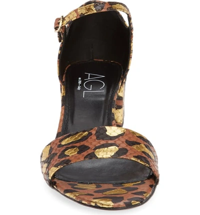 Shop Agl Attilio Giusti Leombruni Snake Embossed Leopard Print Sandal In Cognac/ Gold Leopard