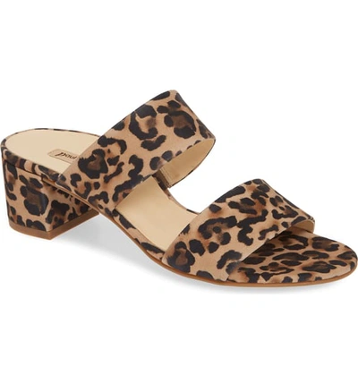 Paul Green Meg Slide Sandal In Leopard Camel | ModeSens