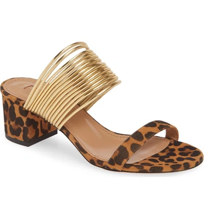 Shop Aquazzura Rendez Vous Slide Sandal In Jaguar Print