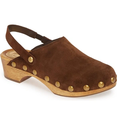 Shop Tory Burch Blythe Studded Clog In Arabica / Arabica