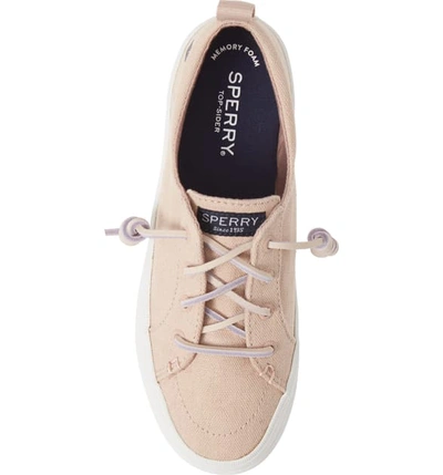 Shop Sperry Crest Vibe Slip-on Platform Sneaker In Rose Dust Canvas