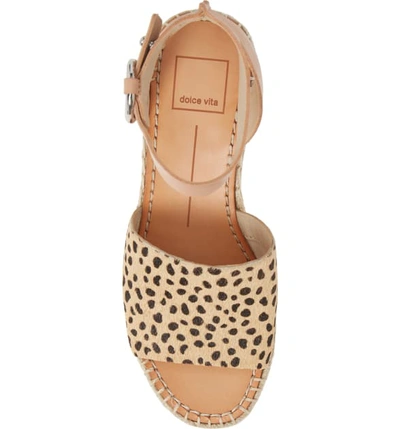 Shop Dolce Vita Lesly Espadrille Platform Sandal In Brown Leopard Calf Hair
