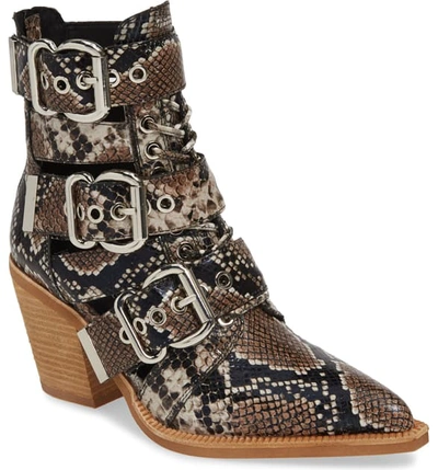 Jeffrey Campbell Caceres Bootie In Brown White Snake Print ModeSens
