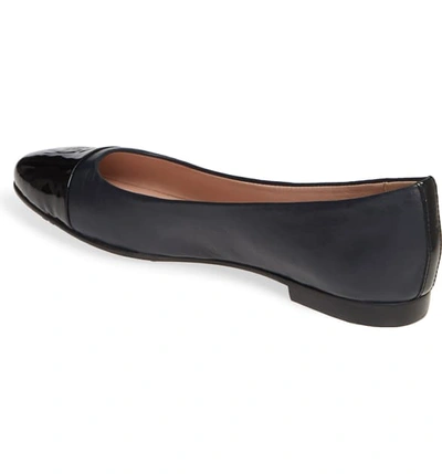 Shop Taryn Rose Collection Adrianna Cap Toe Skimmer Flat In Pacific Leather