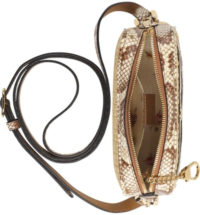 Shop Gucci Genuine Snakeskin & Straw Crossbody Bag In Natural/ Cream Brown