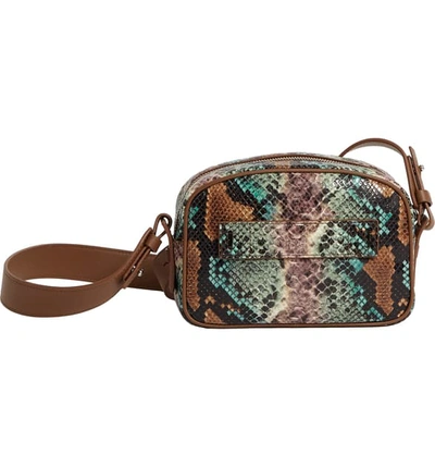 Shop Allsaints Sliver Snake Embossed Leather Belt Bag - Brown In Natural
