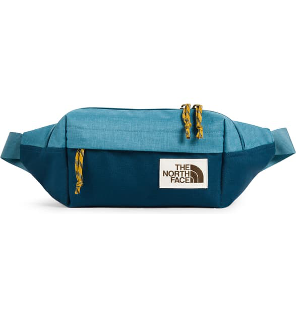 belt bag the north face
