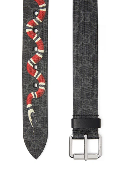 Shop Gucci Kingsnake Canvas Belt In Black Multi/black