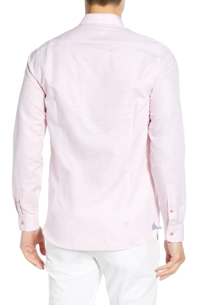 Shop Ted Baker Rabbit Slim Fit Sport Shirt In Pink