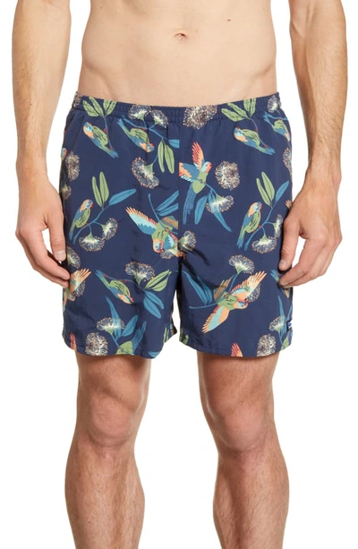 Shop Patagonia Baggies 5-inch Swim Trunks In Parrots Stone Blue