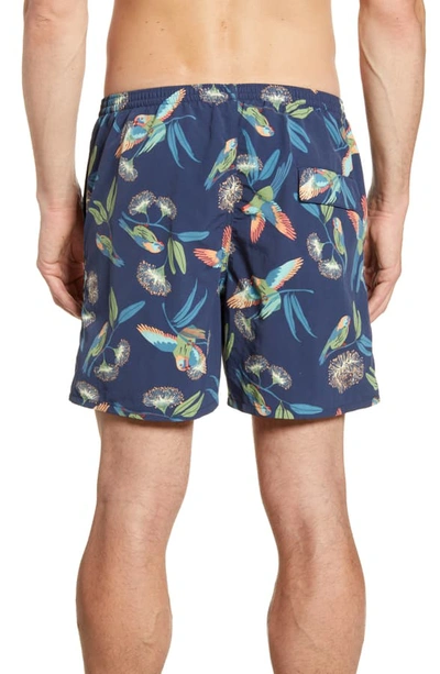 Shop Patagonia Baggies 5-inch Swim Trunks In Parrots Stone Blue