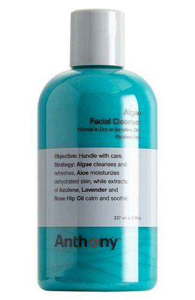 Shop Anthony (tm) Algae Facial Cleanser