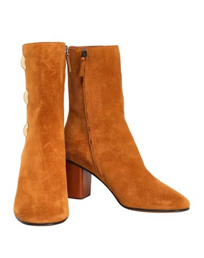 Shop Chloé Ankle Boot In Tan
