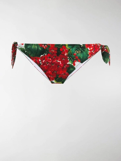 Shop Dolce & Gabbana Floral Bikini Bottoms In Red