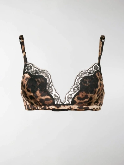 Shop Dolce & Gabbana Leopard Print Bra In Brown