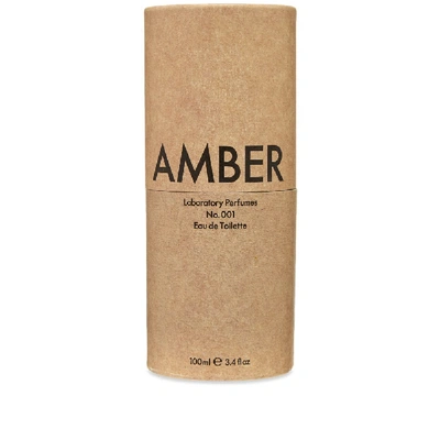 Shop Laboratory Perfumes Amber Eau De Toilette In N/a