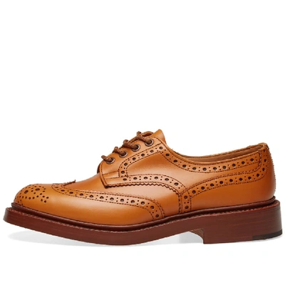 Shop Tricker's Bourton Derby Brogue In Brown