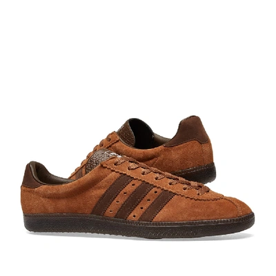 Shop Adidas Spezial Adidas Spzl Padiham In Brown