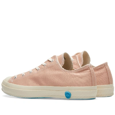 Shop Shoes Like Pottery 01jp Low Sneaker In Pink