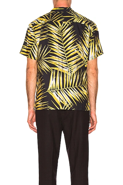 Shop Double Rainbouu Hawaiian Shirt In Tiger Palm