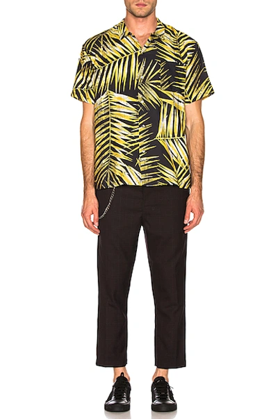 Shop Double Rainbouu Hawaiian Shirt In Tiger Palm