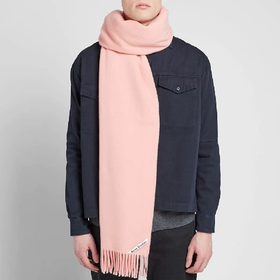 Shop Acne Studios Canada New Scarf In Pink