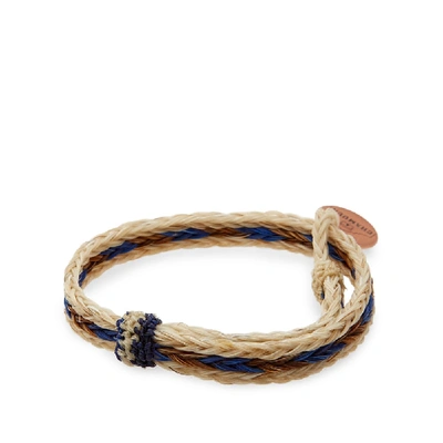 Shop Chamula Braided Horsehair Bracelet In Neutrals