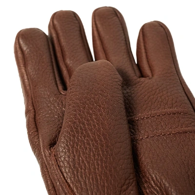 Shop Hestra Elk Utsjö Glove In Brown